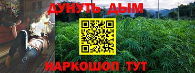 шишки Волжский