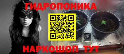 шишки Волжский